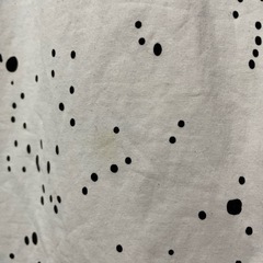 メンズ　DSQUARED2 Tシャツ の画像