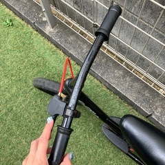 ストライダーの画像