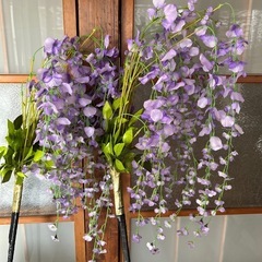 デーサービスの余興　藤の花の画像