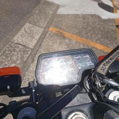 TLR250R。自賠責R8年7月。の画像