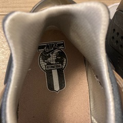NIKEエアハラチの画像