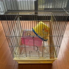 鳥かごセット(小さいカゴ付き)の画像