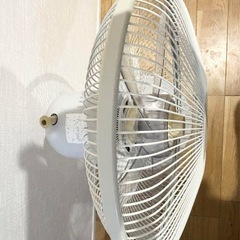 【決まりました】fan terior 扇風機の画像