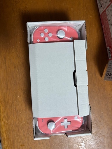 Switchライト本体(中古)