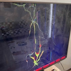 液晶壊れてるテレビの画像