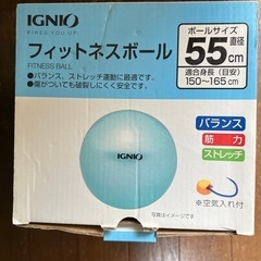 バランスボール　55cmの画像