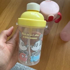 リッチェル＆ピジョン ストローマグ ボトル 4点セットの画像