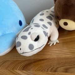 ぬいぐるみ　生き物の画像