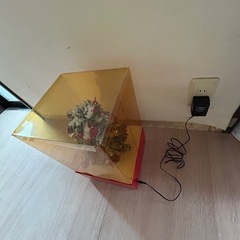 ふるふるツリーの画像