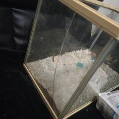 今日の取引お願いします。水槽など色々(^^)の画像