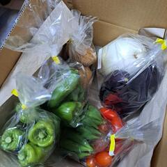 お任せ野菜セット1000円分の画像