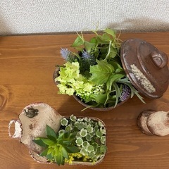 フェイク多肉セットの画像