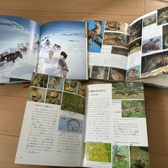 動物図鑑の画像