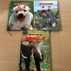 サムネイル