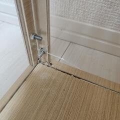 小動物　ハムスター　ケージ　の画像
