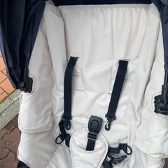 Air buggyの画像