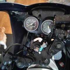 ガンマ250の画像