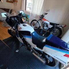 ガンマ250の画像