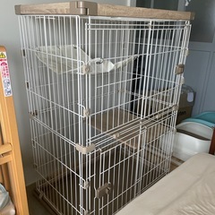 8月末まで　キャットケージ 120cm×90cm×60cm の画像