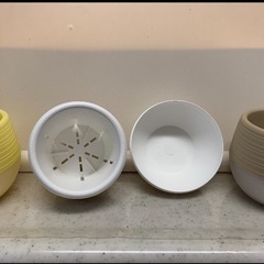 プラカップ鉢の画像
