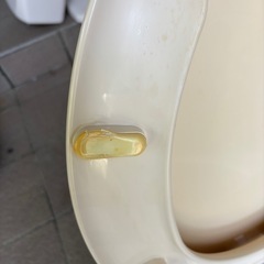 中古トイレ便器の画像