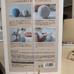 バランスボール シェリア(55cm/サンドベージュ) MVS355




の画像