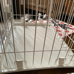 中古品　犬猫ペットサークルの画像