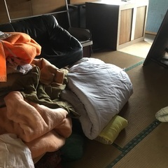 布団　毛布　座布団　電気カーペット　などの画像