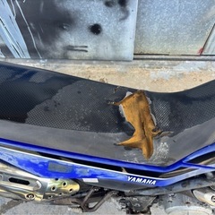 XT250 部品どり　取り引き中　受付停止します。　の画像