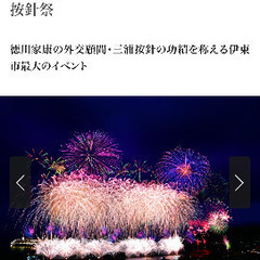 🎆【本日8月10日（日）分】🎇伊東市　按針祭　海の花火大会　チケット3枚の画像