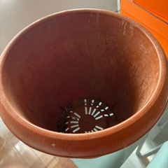 【お譲りします】10号植木鉢の画像