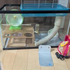 ハムスター　飼育容器　セットの画像