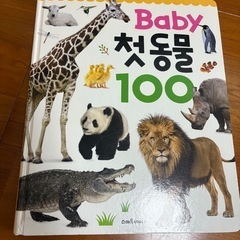 幼児用　韓国おもちゃ　本　知育の画像
