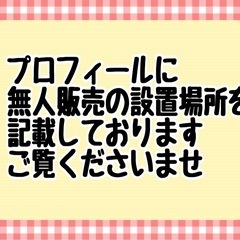 玉ねぎの画像