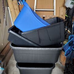 明日、11日まで4,000円..メダカ　金魚　水槽などに。５個セット｡の画像