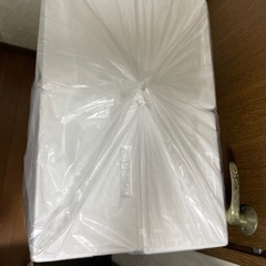 発泡スチロール60サイズの画像