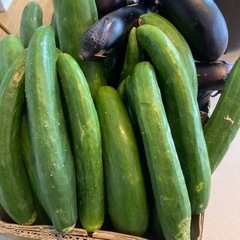 農薬不使用の夏野菜の画像