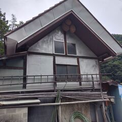 スズメバチの巣（３連）の画像