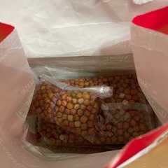 ドッグフードの画像