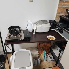 本日片付けをした物です。配送のみで、引き取りはお断りします。の画像