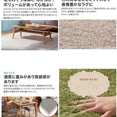 【無料】ニトリ アクセントラグ Sシャギー 130×130 円形　グリーンの画像