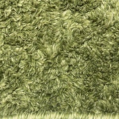 【無料】ニトリ アクセントラグ Sシャギー 130×130 円形　グリーンの画像