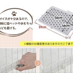 猫ドア付ケージ　猫用おもちゃ付の画像