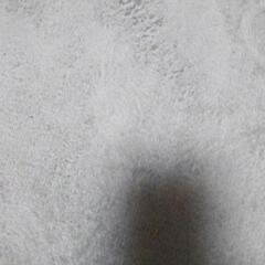 新品 グレー の 3畳用の カーペットの画像