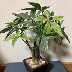フェイク観葉植物　インテリアの画像
