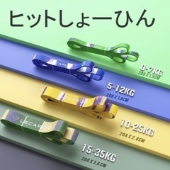 新品未開封 LECARDIOトレーニングチューブの画像