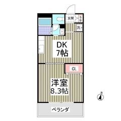 💕一人暮らしにおすすめ１DK・洗面所独立やバストイレ別のお部屋💕...