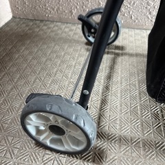 ペット用キャリーカーの画像