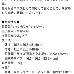 リッチェル　キャリー Lの画像