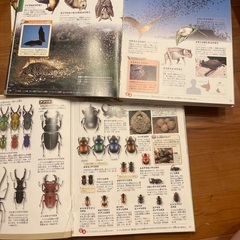 図鑑4冊セットの画像